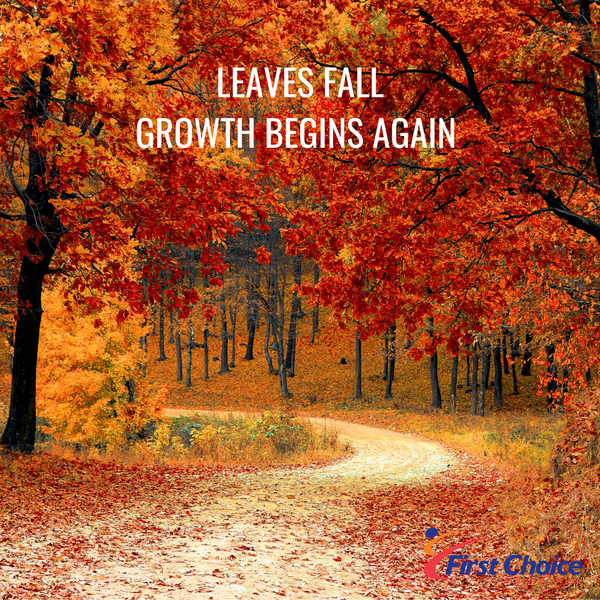 Leaves Fall, Growth Begins Again