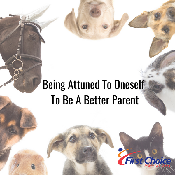 Being Attuned To Oneself To Be A Better Parent
